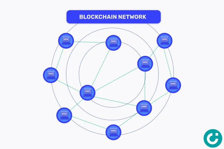 Minh họa các nodes trong Blockchain là gì