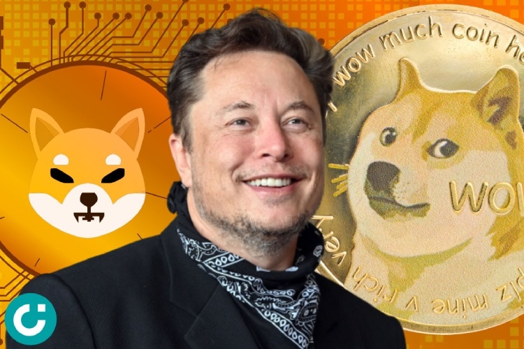 Elon Musk và Shiba Inu