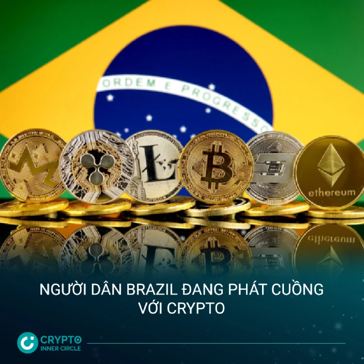 Người dân Brazil đang phát cuồng với Crypto cic news
