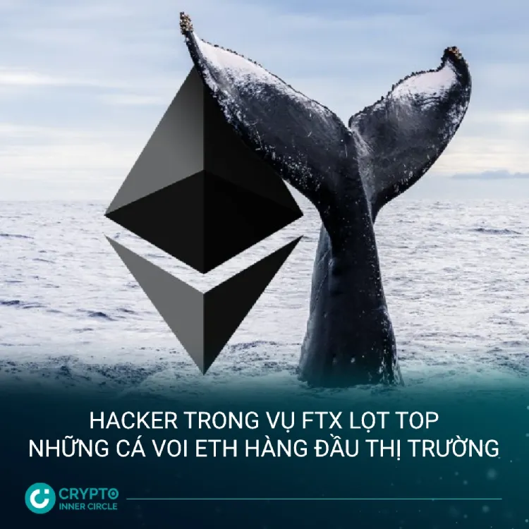 Hacker trong vụ FTX lọt top những cá voi ETH hàng đầu thị trường cic news