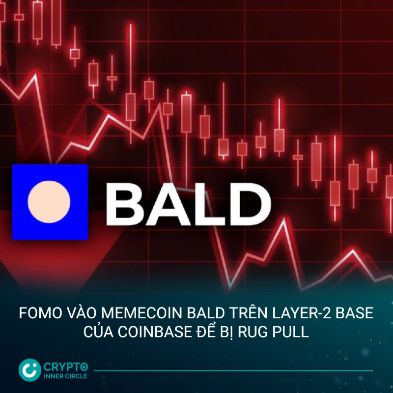 FOMO vào memecoin BALD trên layer-2 Base của Coinbase để bị rug pull